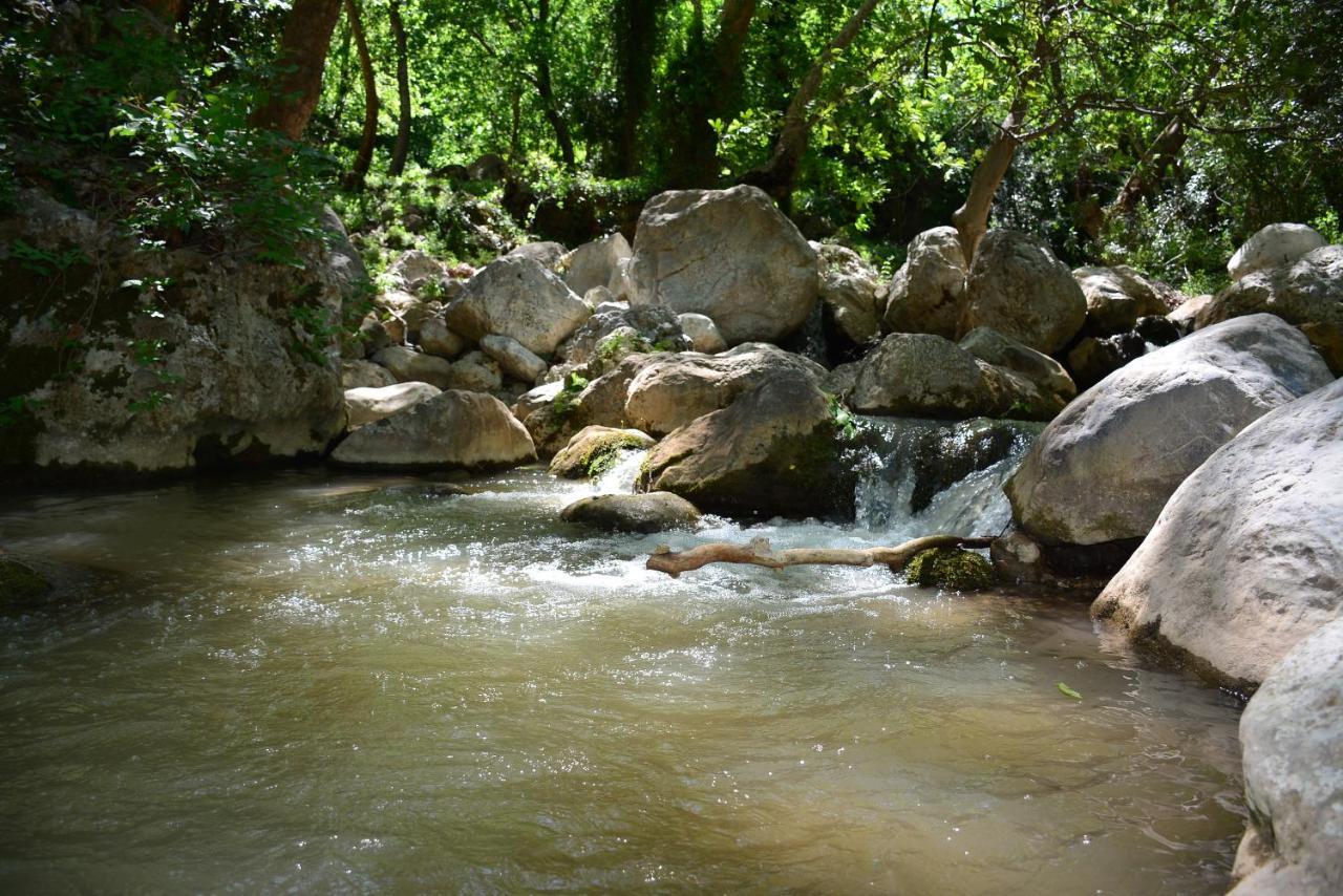 Rido Camping Kamp alanı *